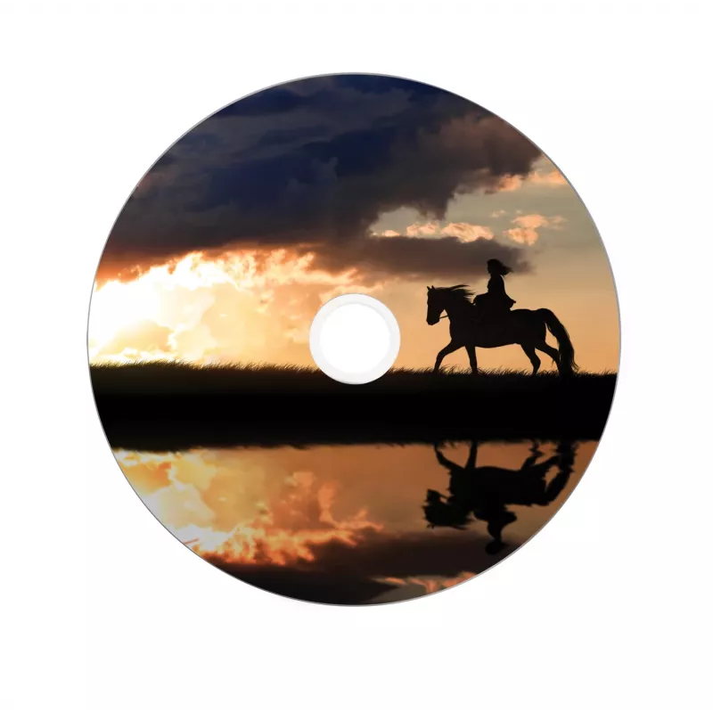 Verbatim 43667 tühi DVD 8,5 GB DVD+R DL 25 tk
