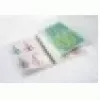 GBC lamineerimistasku A4+ eelnevalt perforeeritud 125 mikronit, läikiv, A4 Maxi, 228 mm, 0,25 mm, 303 mm, 100 tk