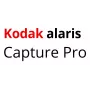 Kodak Alaris Capture Pro, Group A, 3 Years, 3 aasta(t), Litsents