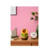 Nintendo Rääkiv Lill, Kogumisfiguur, Videomäng
