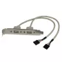 StarTech.com 2 pordiga USB A emane pesa adapter, 2 x IDC, 2 x USB A, 0,286 m, hõbedane