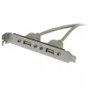 StarTech.com 2 pordiga USB A emane pesa adapter, 2 x IDC, 2 x USB A, 0,286 m, hõbedane