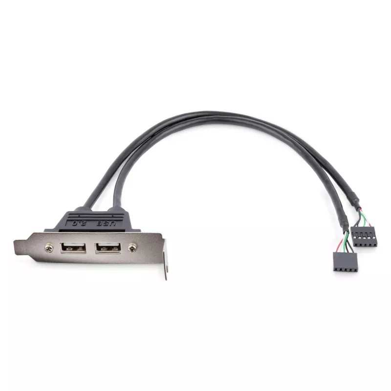 StarTech.com 2 port USB A-pesa madala profiiliga pesaplaadi adapter