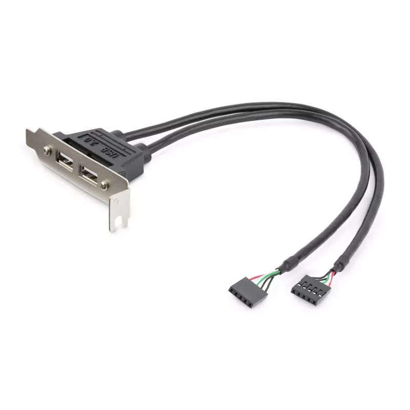 StarTech.com 2 port USB A-pesa madala profiiliga pesaplaadi adapter