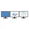 StarTech.com 3-pordiline mitme monitori adapter – DisplayPort 1.2 MST jaotur kahe 4K 30 Hz ja ühe 1080p jaoks – videolaotur laiendatud töölauarežiimile ainult Windowsi arvutites – DP–3x DP monitorid