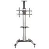 StarTech.com TV-alus – reguleeritava kõrgusega – lukustatavad rattad, 40 kg, 81,3 cm (32 tolli), 190,5 cm (75 tolli), 200 x 200 mm, 600 x 400 mm, 1110–1510 mm
