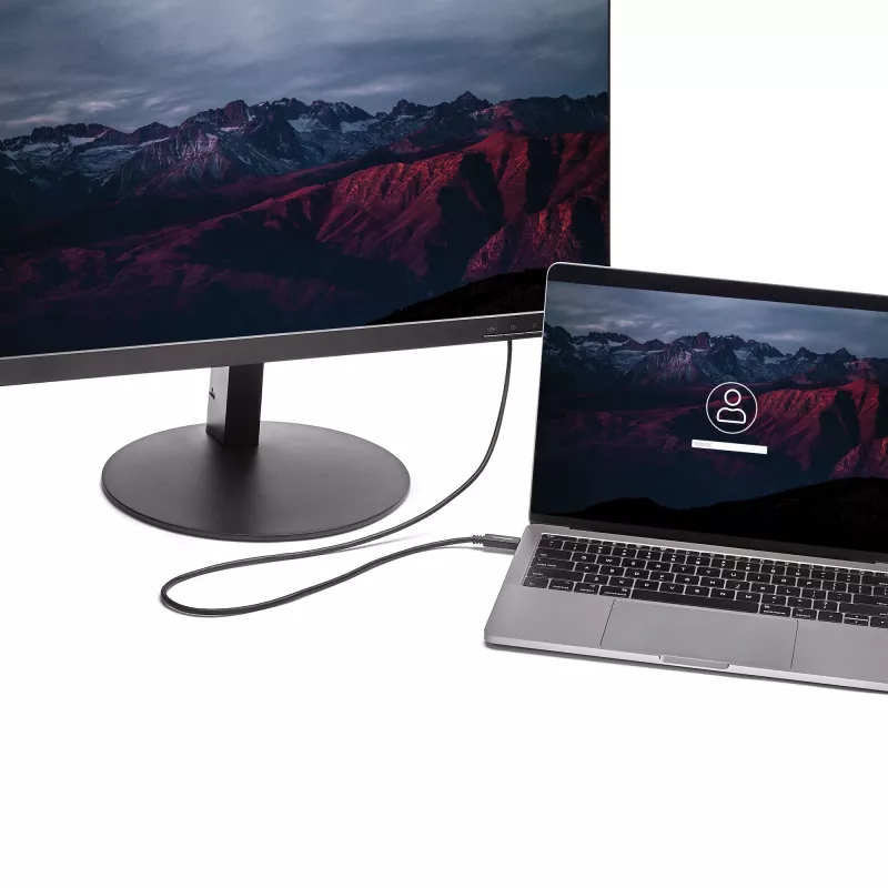 StarTech.com 6,6 jala (2m) USB-C–DVI-kaabel – 1920 x 1200 – must