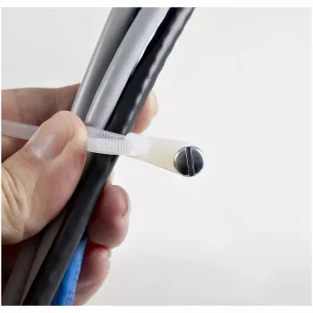 StarTech.com 4 tolli (10 cm) kaablisidemed kinnitusauguga – 1/16 tolli (2 mm) lai, 7/8 tolli (24 mm) kimbu läbimõõt, 18 naela (8 kg) tõmbetugevus, nailon 66 iselukustuvad sidemed kruviauguga, UL loetletud, 100 tk pakend