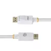 StarTech.com 1,8 m valge VESA-sertifitseeritud DisplayPort 1.2 kaabel, 4K 60 Hz, 21,6 Gbit/s, lukustuvate DP-pistikutega, DP 1.2 DisplayPort-kaabel, DP-kuvarikaabel, M/M
