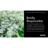 Xerox originaal ® VersaLink® B620 Printer/B625 Multifunction Printer Must Standard capacity toonerkassett (10000 lehekülge) - 006R04668