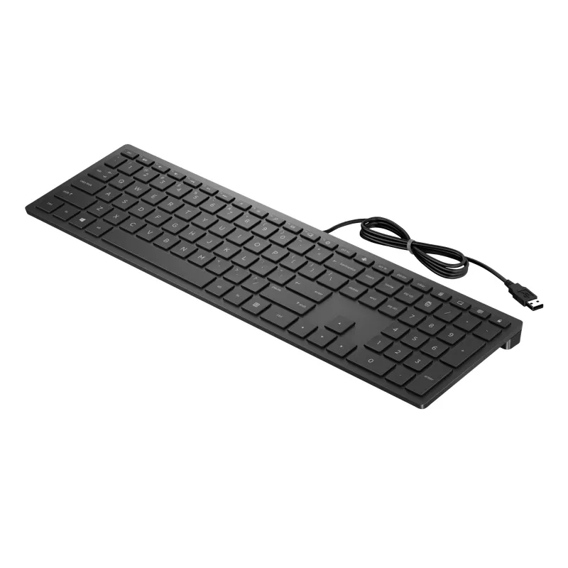 HP Pavilion juhtmega klaviatuur 300, täissuuruses (100%), juhtmega, USB, mehaaniline, must