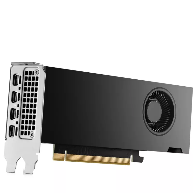 HP NVIDIA RTX 2000 Ada 16GB GDDR6 graafikakaart, 4x Mini DisplayPort (8D6B8AA)