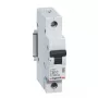 Legrand RX3 kaitselüliti Miniatuurne kaitselüliti Tüüp B 1