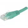 Hypertec 244760-HY võrgukaabel Roheline 10 m Cat6 U/UTP (UTP)