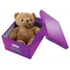 Leitz Click & Store WOW keskmine hoiukarp, lilla, papp, 16,7 l, 281 mm, 200 mm, 265 x 335 x 188 mm