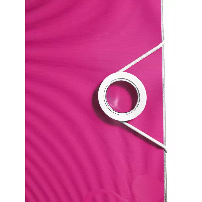 Leitz kangregistraator Active PP WOW A4/80mm, A4, Polyfoam, Roosa, 500 lehte, 80 g/m², 8,2 cm