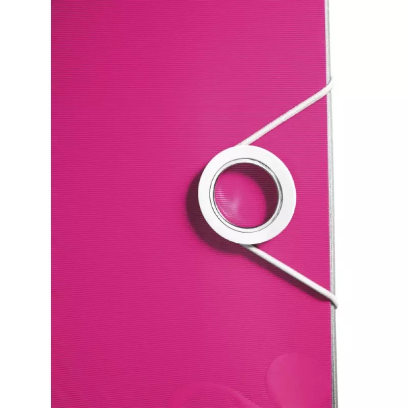 Leitz kangi-arhiivikaust Active PP WOW A4/65mm, A4, Polyfoam, roosa, 350 lehte, 80 g/m², 6,5 cm
