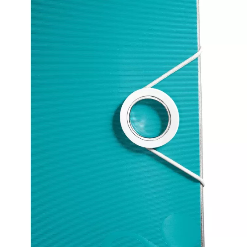 Leitz Lever Arch File Active PP WOW A4/65mm, A4, Polyfoam, Sinine, 350 lehte, 80 g/m², 6,5 cm