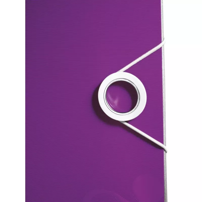 Leitz kangregistraator Active PP WOW A4/65mm, A4, polüvaht, lilla, 350 lehte, 80 g/m², 6,5 cm
