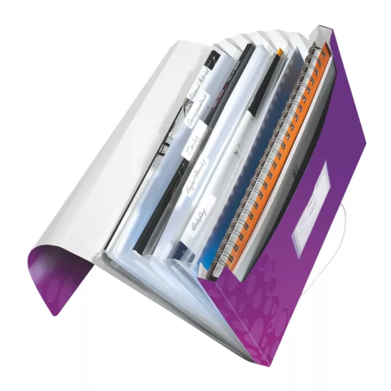 Leitz Project File WOW PP, A4, polüpropüleen (PP), lilla, 200 lehte, 254 mm, 38 mm
