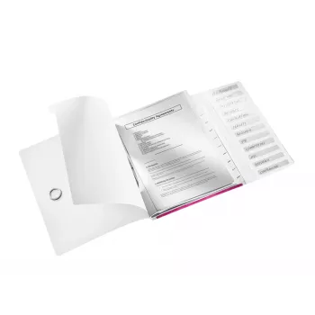 Leitz vaheleheraamat WOW PP 12 vahelehega, A4, polüpropüleen (PP), metalne, roosa, 200 lehte, 265 mm, 17 mm