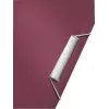 Leitz laiendatav kontserdiinastiilis toimik PP, A4, polüpropüleen (PP), punane, 250 lehte, 80 g/m², 6 taskut