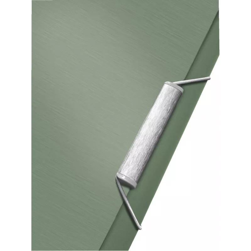 Leitz Expanding Concertina File Style PP, A4, polüpropüleen (PP), roheline, 250 lehte, 80 g/m², 6 taskut