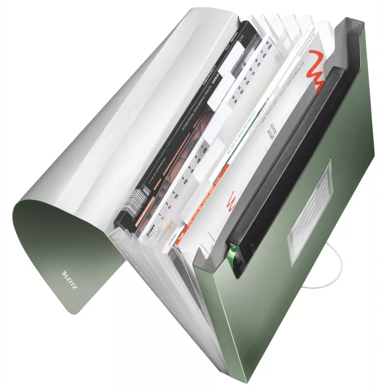 Leitz Expanding Concertina File Style PP, A4, polüpropüleen (PP), roheline, 250 lehte, 80 g/m², 6 taskut