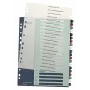 Leitz indeks arvutiga prinditav 1-20 stiilis PP A4+, numbriline vaheleht, polüpropüleen (PP), mitmevärviline, portree, A4 Maxi, 245 mm
