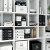 Leitz Box Click & Store WOW Cube suur hoiukast, fuksia, papp, 320 mm, 360 mm, 310 mm