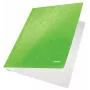 Leitz lamekaust WOW A4, tavaline kaust, A4, kartong, roheline, portree, 250 lehte