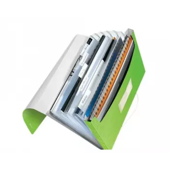 Leitz Project File WOW PP, A4, polüpropüleen (PP), roheline, vertikaalpaigutus, 250 lehte, 80 g/m²