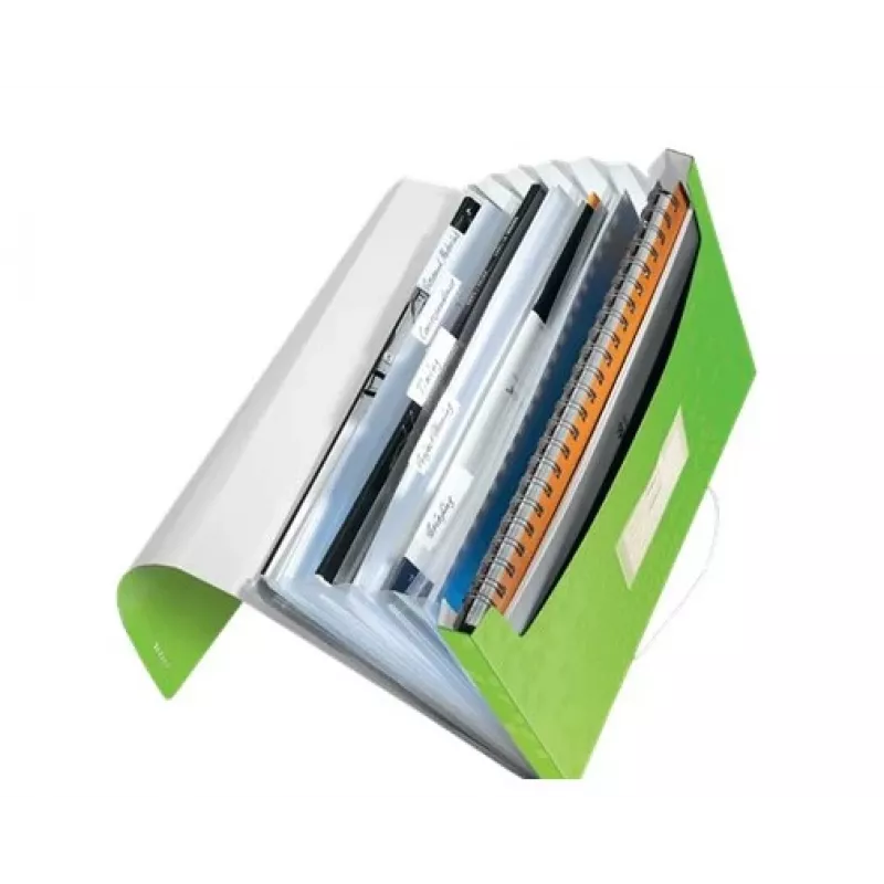 Leitz Project File WOW PP, A4, polüpropüleen (PP), roheline, vertikaalpaigutus, 250 lehte, 80 g/m²