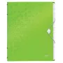 Leitz jagamisraamat WOW PP 12 vahelehte, A4, polüpropüleen (PP), roheline, 200 lehte, 80 g/m², 265 mm