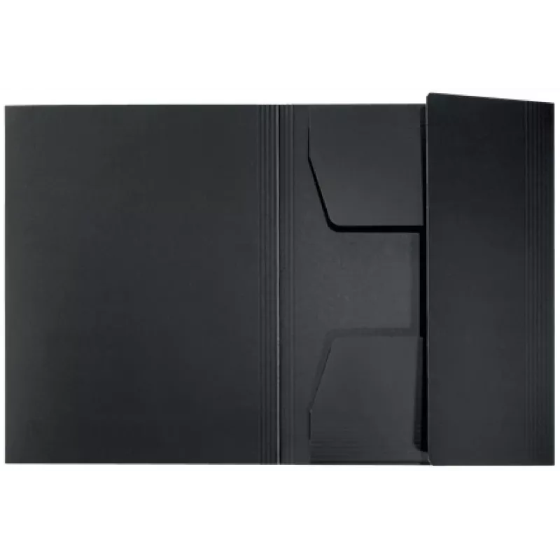 Leitz Recycle Card 3-flap kaust, Tavaline dokumendikaust, A4, Kartong, Must, Matt, 250 lehte