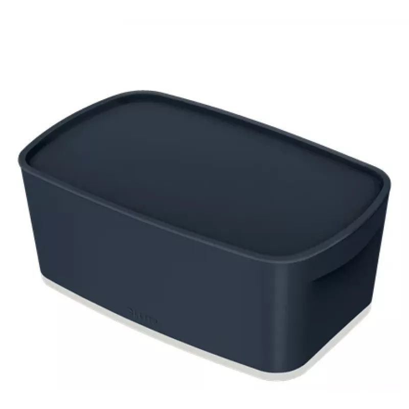 Leitz MyBox Cosy väike kaanega, hoiukarp, Hoiukarp, Hall, Ristkülikukujuline, Plast, Ühevärviline, Siseruumidesse