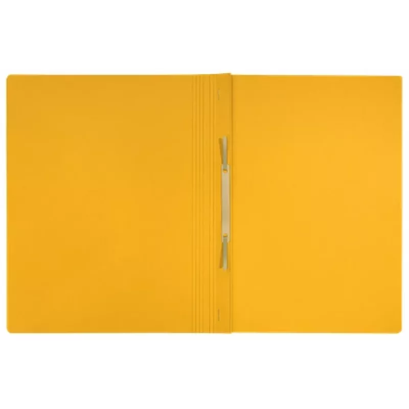 Leitz Recycle pappkaust, Tavaline kaust, A4, Kartong, Kollane, Rõht-/püstpaigutus, 250 lehte