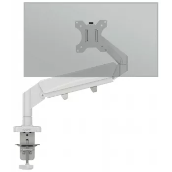 Leitz Ergo ruumisäästlik ühe monitori käsi, klamber/läbiviigukinnitus, 9 kg, 43,2 cm (17 tolli), 81,3 cm (32 tolli), 100 x 100 mm, hall