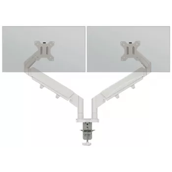 Leitz Ergo ruumisäästlik kahe monitori käsi, klamber/läbiviigukinnitus, 18 kg, 43,2 cm (17 tolli), 81,3 cm (32 tolli), 100 x 100 mm, hall