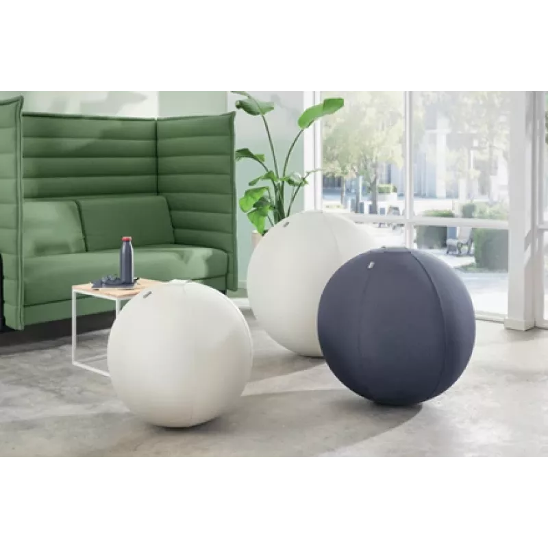 Leitz Ergo aktiivne istumispall pidurdusfunktsiooniga 65 cm, hall, täissuuruses, 150 kg, TÜV, 65 cm, 2,87 kg