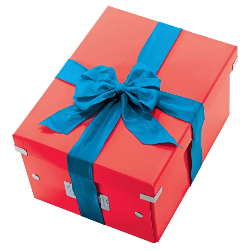 Leitz Box Click & Store WOW Cube Large hoiukast, hoiukast, punane, ristkülikukujuline, papp, ühevärviline, siseruumidesse