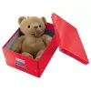 Leitz Box Click & Store WOW Cube Large hoiukast, hoiukast, punane, ristkülikukujuline, papp, ühevärviline, siseruumidesse