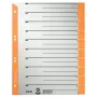Leitz 16520045 numeratsioonisakid Papp Hall, oranž
