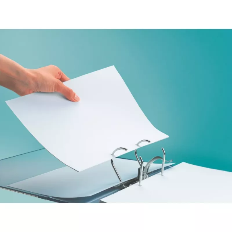 Leitz LEITZ Standard Lever Arch File A4 80mm, with Slots, Cardboard (RC), Spine Width 80mm (1080-50-25)