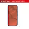 Karastatud klaasist ekraanikaitse koos ümbrisega Google Pixel 10 jaoks, tootjalt e.v.i. (DISPLEX Real Glass + ümbris)