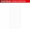 Karastatud klaasist ekraanikaitse koos ümbrisega Google Pixel 10 jaoks, tootjalt e.v.i. (DISPLEX Real Glass + ümbris)