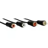 Hama 00122286 helikaabel 3 m 2 x RCA Must