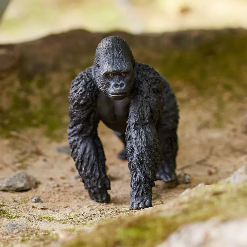 schleich WILD LIFE Gorilla, isane, 3 a, Džungel, Metsloomad / seiklusmänguasjad, Mitmevärviline, Plastik
