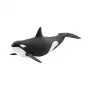 schleich WILD LIFE Mõõkvaal, 3 a, Ice & Ocean, Metsloomad/seiklusmänguasjad, Mitmevärviline, Plast, 1 tk