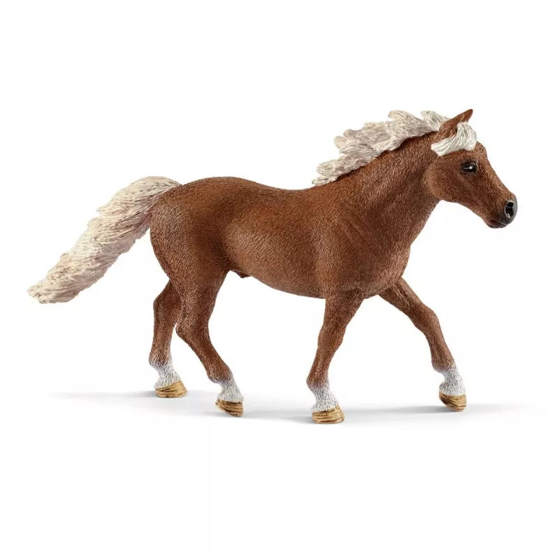 schleich Poni agilitytreening, Agility, Taluloomad / talumänguasjad, 3 a, Mitmevärviline, Plast